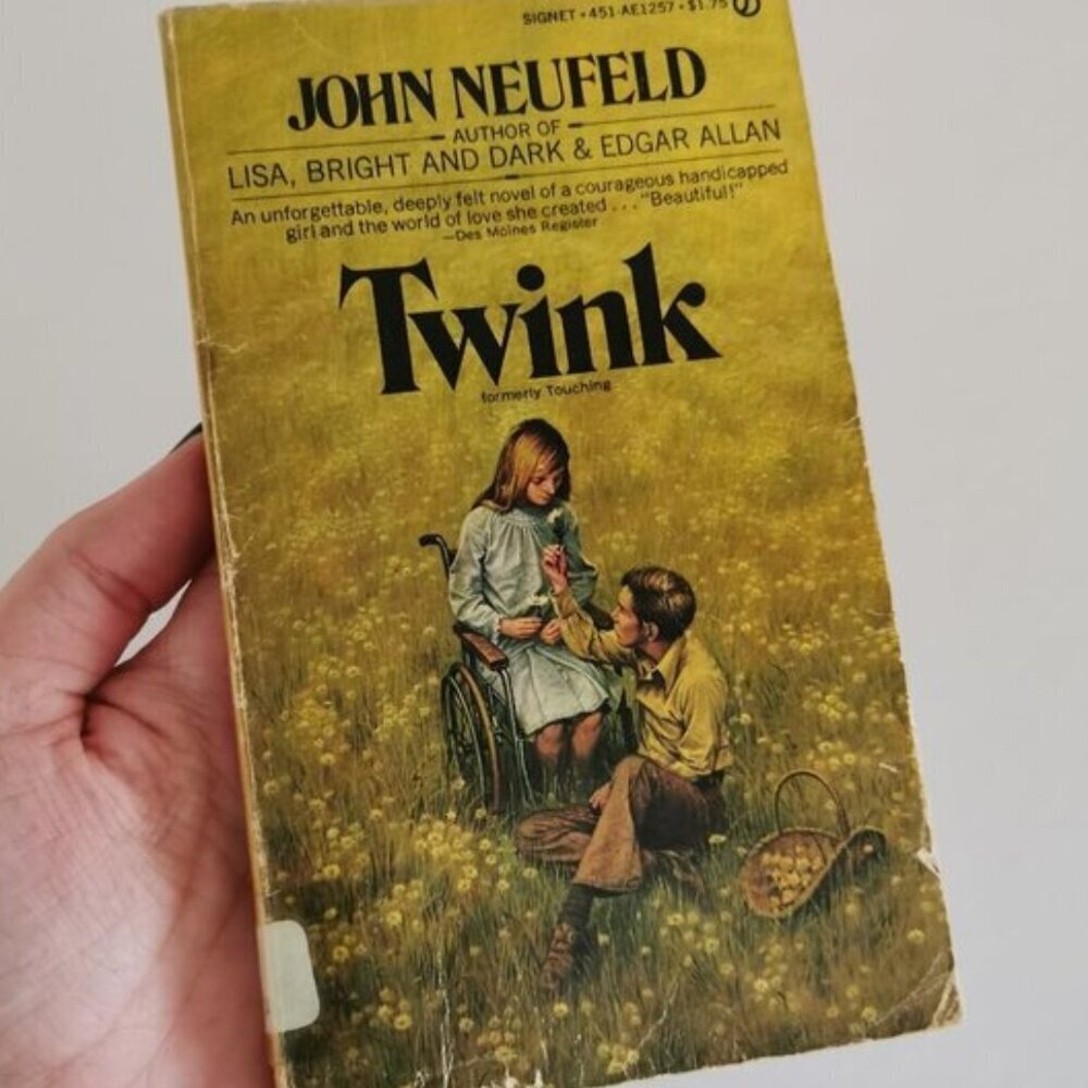 1970s Twink Fiction Novel by John Neufeld Paperback Vintage EX-LIBRARY Americana